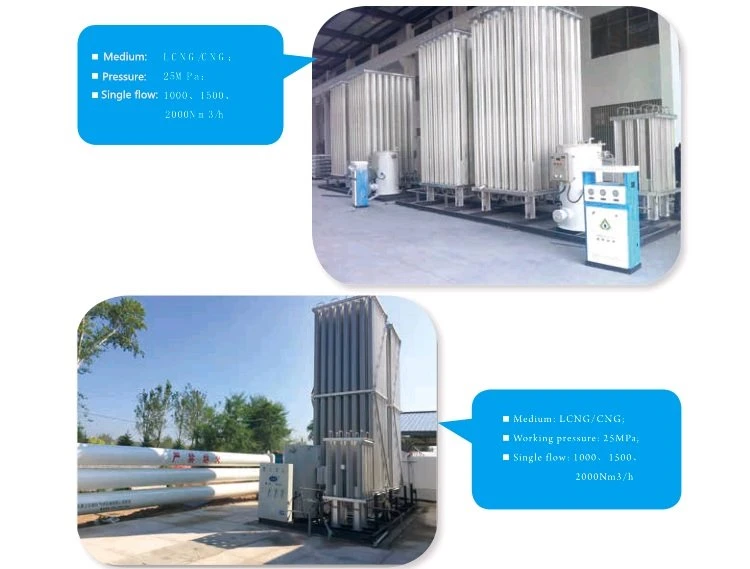 Cases of L-CNG High-pressure Gasification Skid Cases of L-CNG High-pressure Gasification Skid