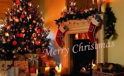 Merry Christmas And Happy New Year From SCHEELE